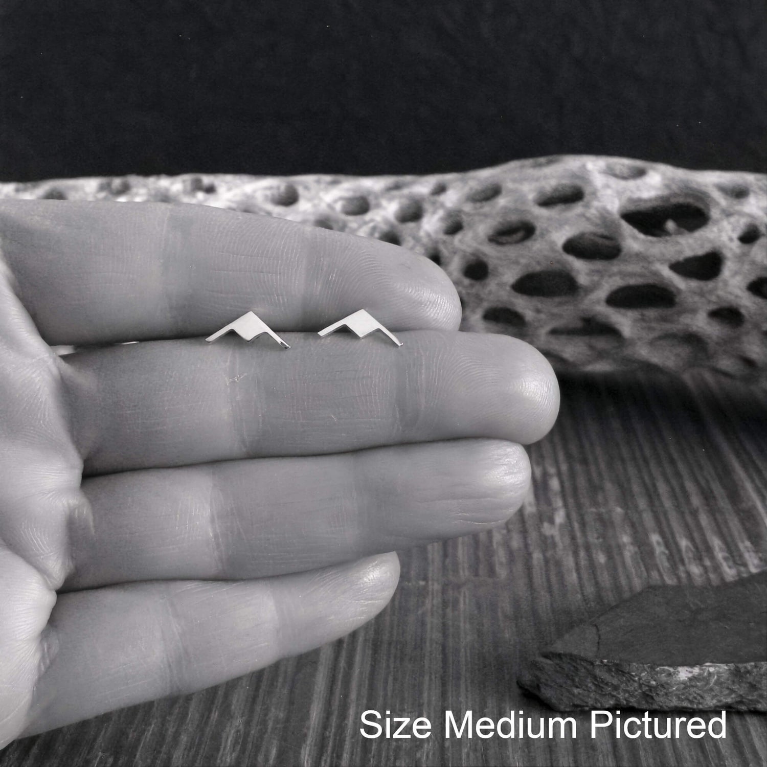 Pair of B-21 Raider Stud Earrings held in a hand with driftwood in the background