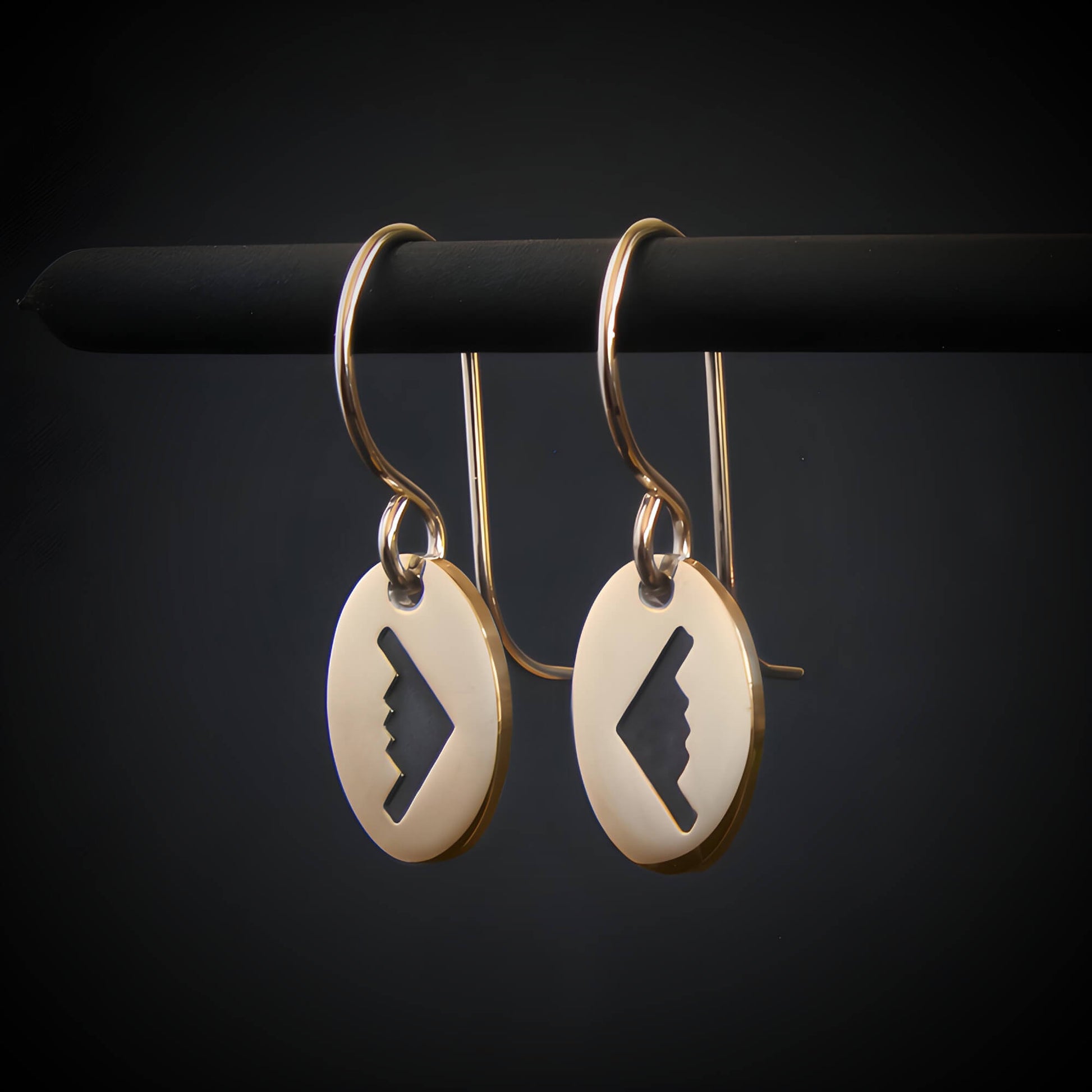 14k gold B‑2 Spirit bomber airplane oval dangle earrings on dark background – handmade aviation jewelry