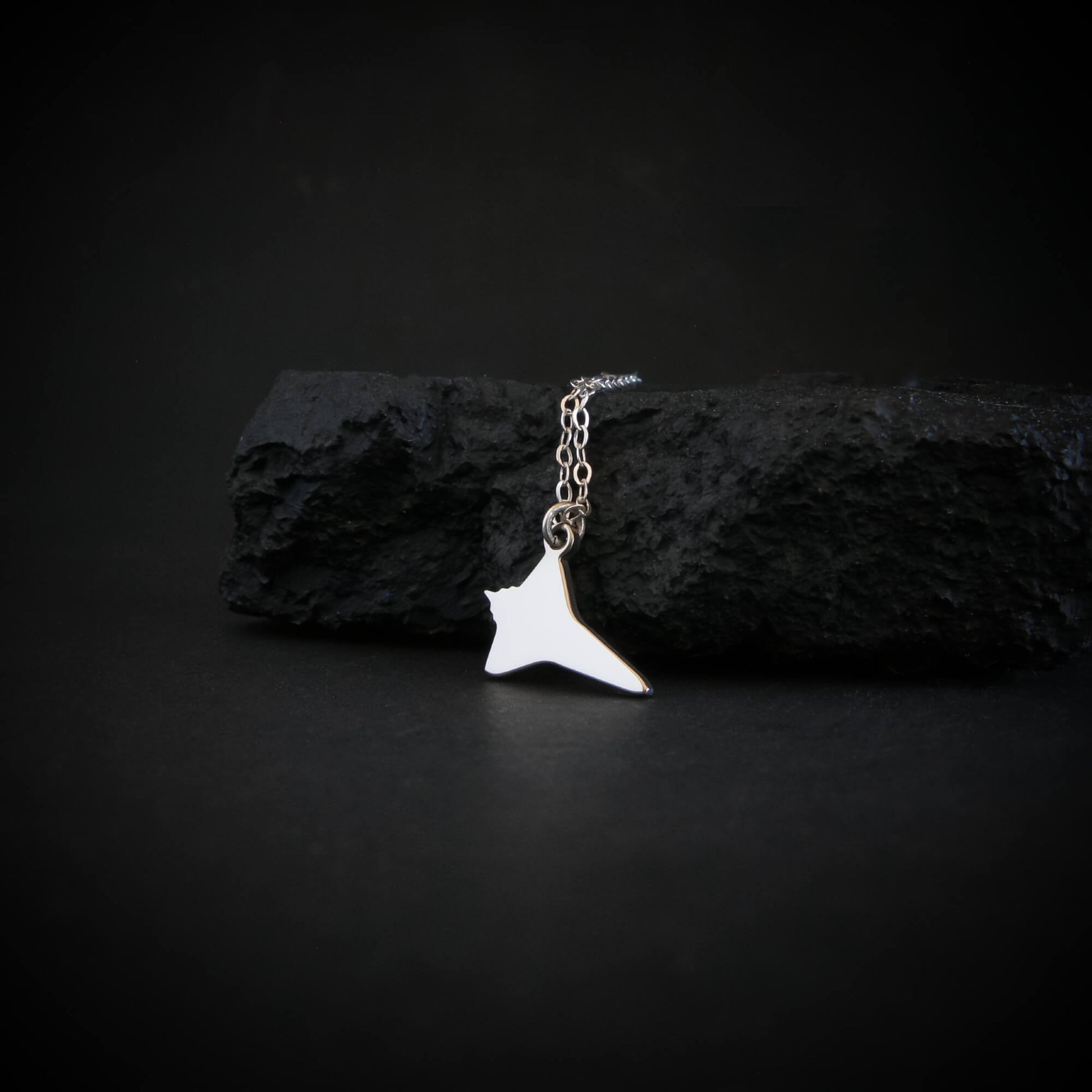 Sterling silver NASA Space Shuttle pendant necklace resting on black rock – artisan space jewelry handmade in USA