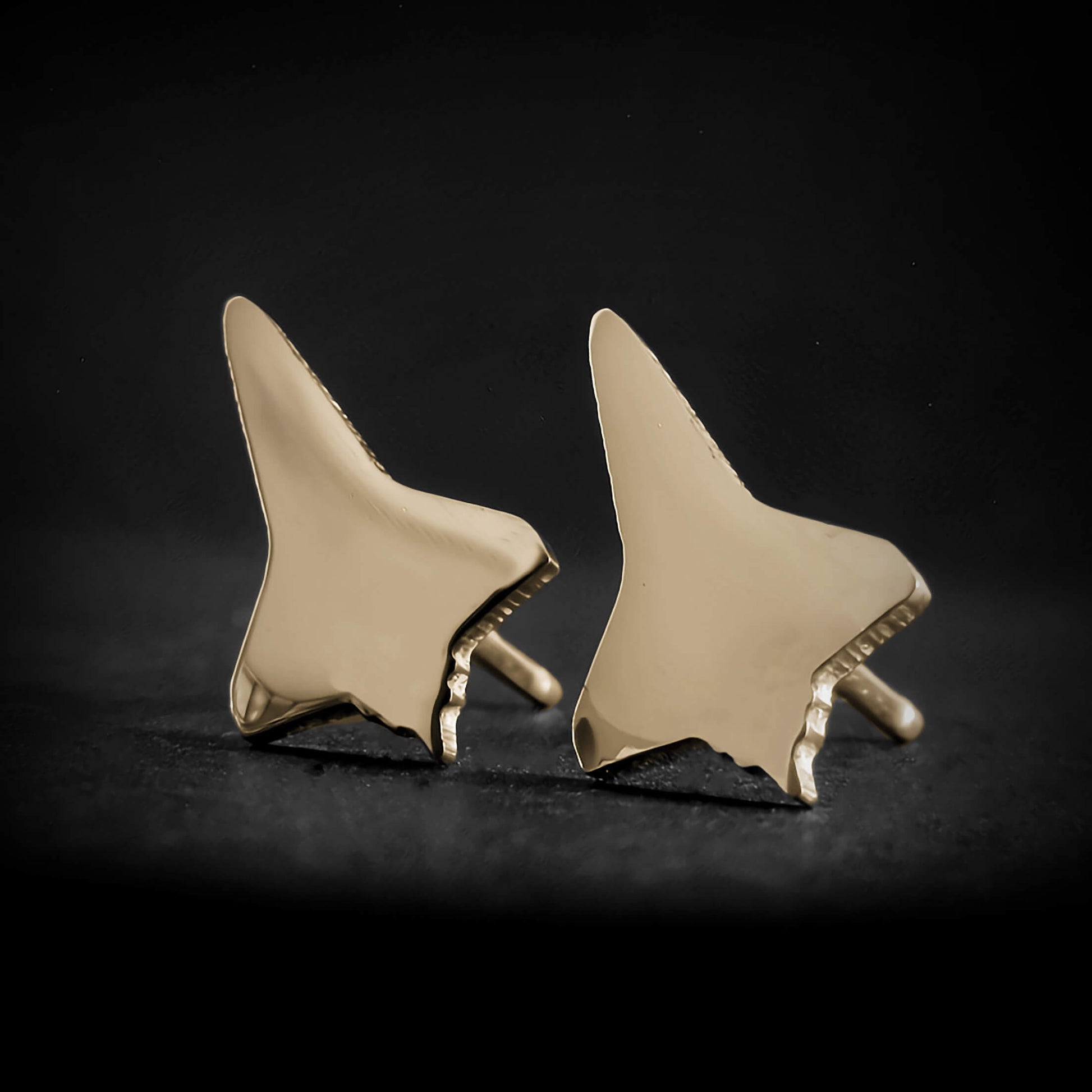 Space Shuttle Stud Earrings - Jet Fighter Jewelry