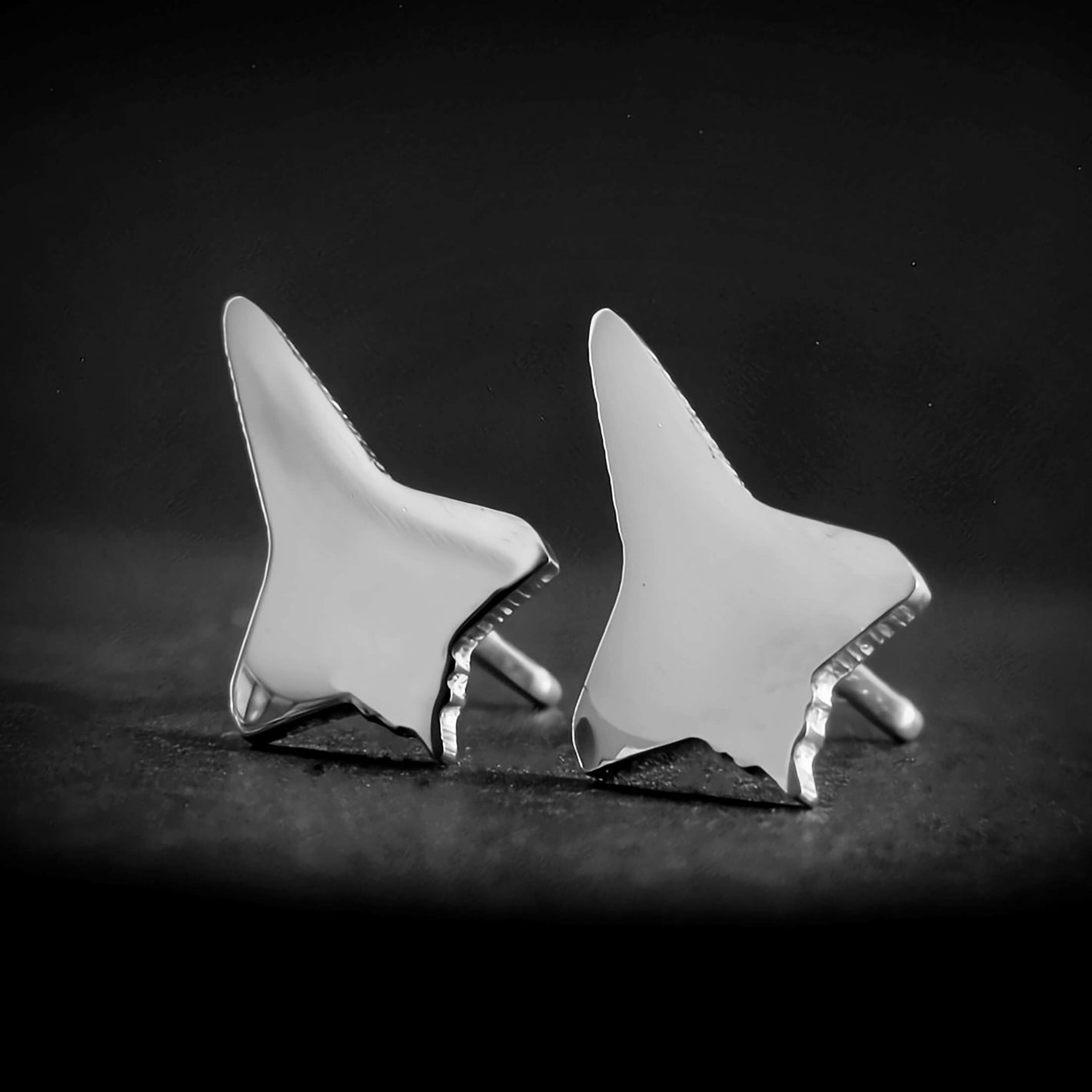 Space Shuttle Stud Earrings - Jet Fighter Jewelry