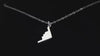 B2 Bomber Military Aircraft Silver Pendant Necklace going back and forth on a turntable